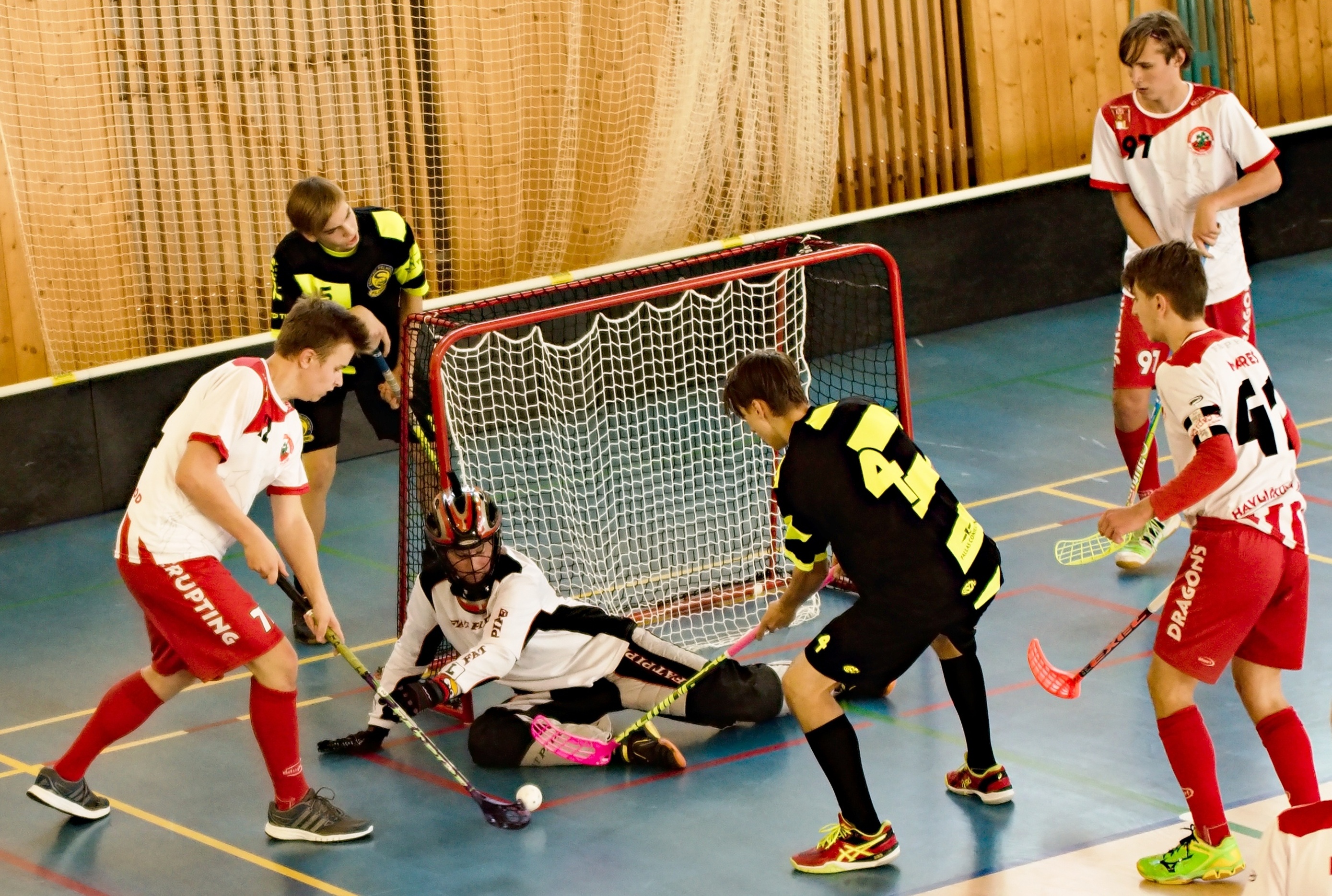 JunciLedec241015 043